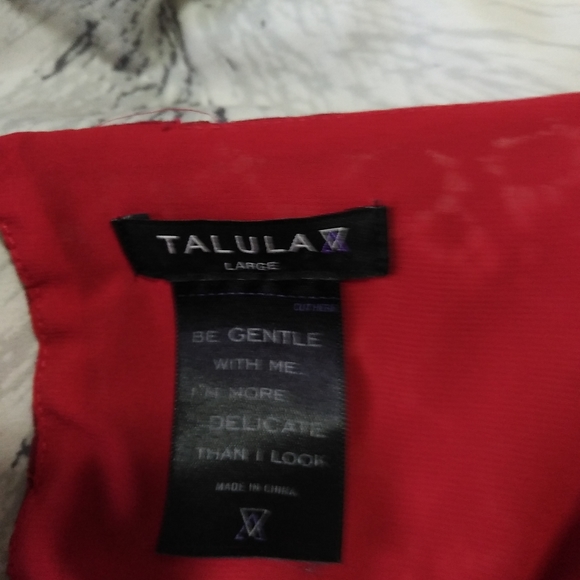 Talula L gorgeous lace overlay dress - Picture 3 of 3